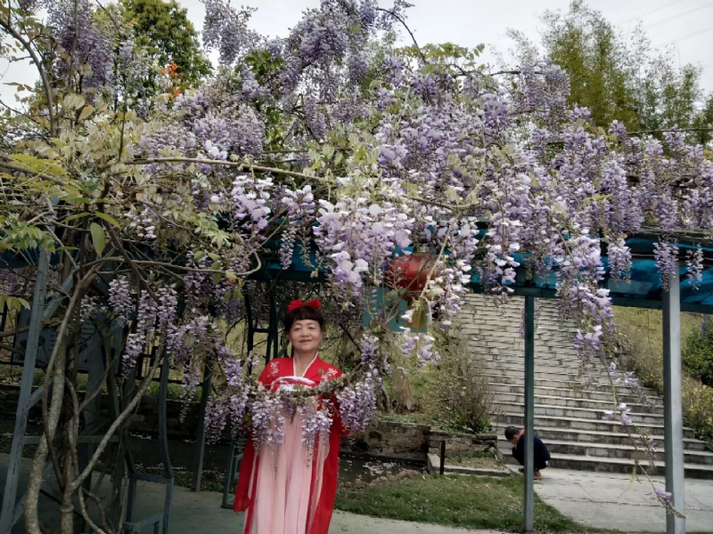 莉莉的第一张照片--浦城婚介网