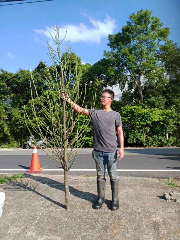 jeff的第二张照片--浦城婚介网